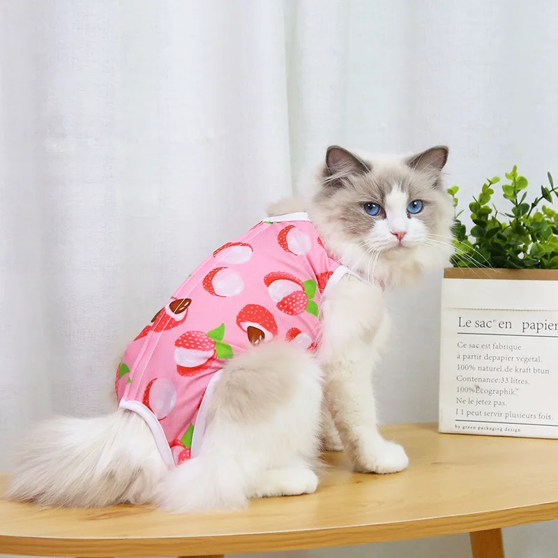 Cat Weaning Sterilization Suit Small Dog Cats Jumpsuit Anti-lick Recovery Clothing After Surgery Cute Print Pet Care Clothes