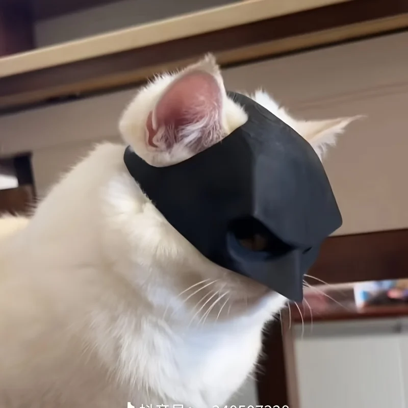 Cat Mask