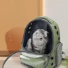 Carry a cat bag when going out, portable and breathable space pet cabin backpack dog bag cat supplies