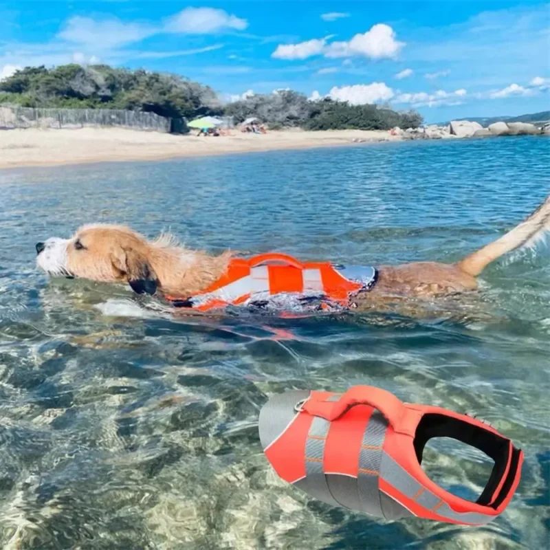 S0e231e8b5d8a4d7ab2ba089032e55d42F.webp Reflective Dog Life Jacket – Adjustable Buoyancy Safety Vest