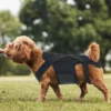 S542a343f86954c0c8a97b40d5173c0978.webp Waterproof Dog Boots – Protective Outdoor Paw Shoes for Dogs