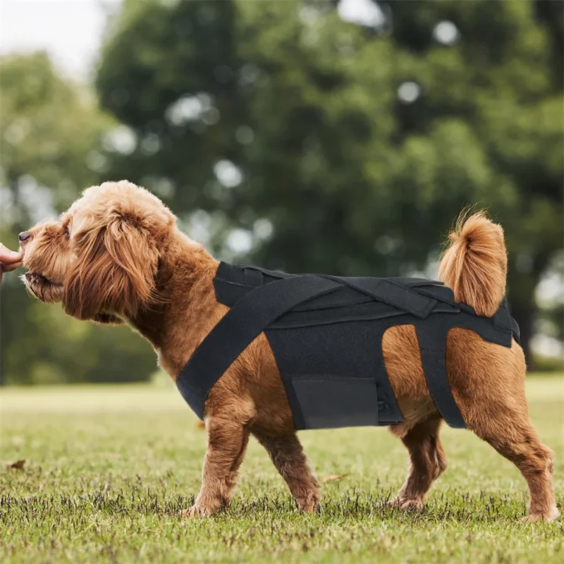 S542a343f86954c0c8a97b40d5173c0978.webp Waterproof Dog Boots – Protective Outdoor Paw Shoes for Dogs