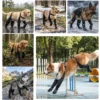 S7f5e9f51c6134b3ba975f6b0ad236868N.webp Waterproof Dog Boots – Protective Outdoor Paw Shoes for Dogs