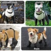 Sb306edca5c5a4bc1a292a0696c5408f1Y.webp Waterproof Dog Boots – Protective Outdoor Paw Shoes for Dogs