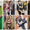 Pet Carrier Backpack for Dogs Cat Thickened Sponge Pet Front Dog Carrier Backpacks Portable Puppy Transportation Dog Bags